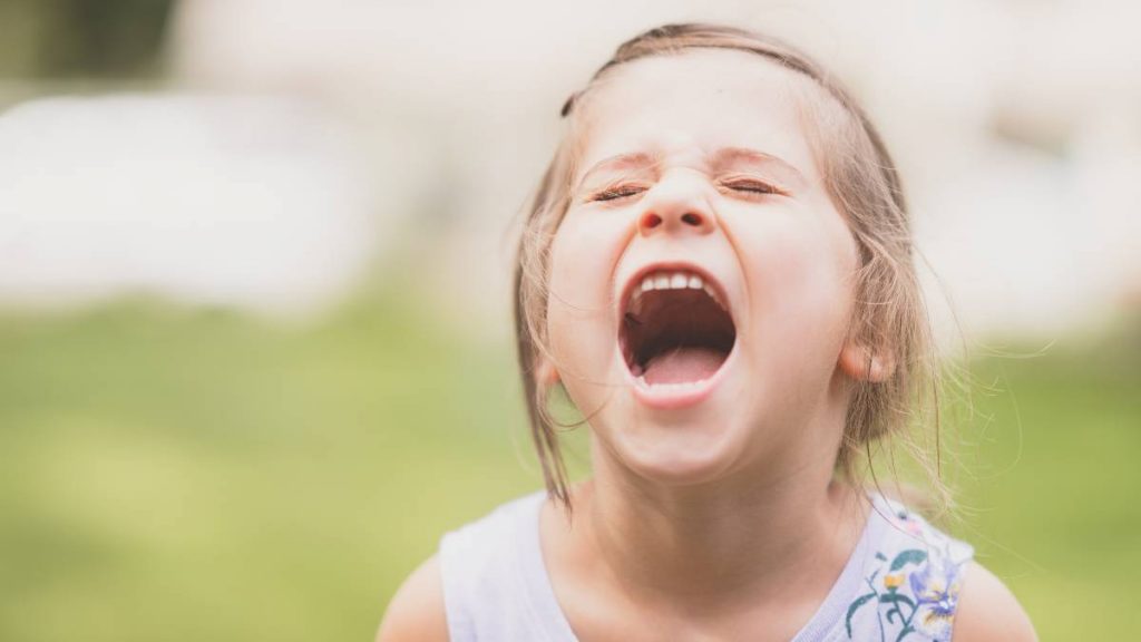 quantos dentes temos na boca